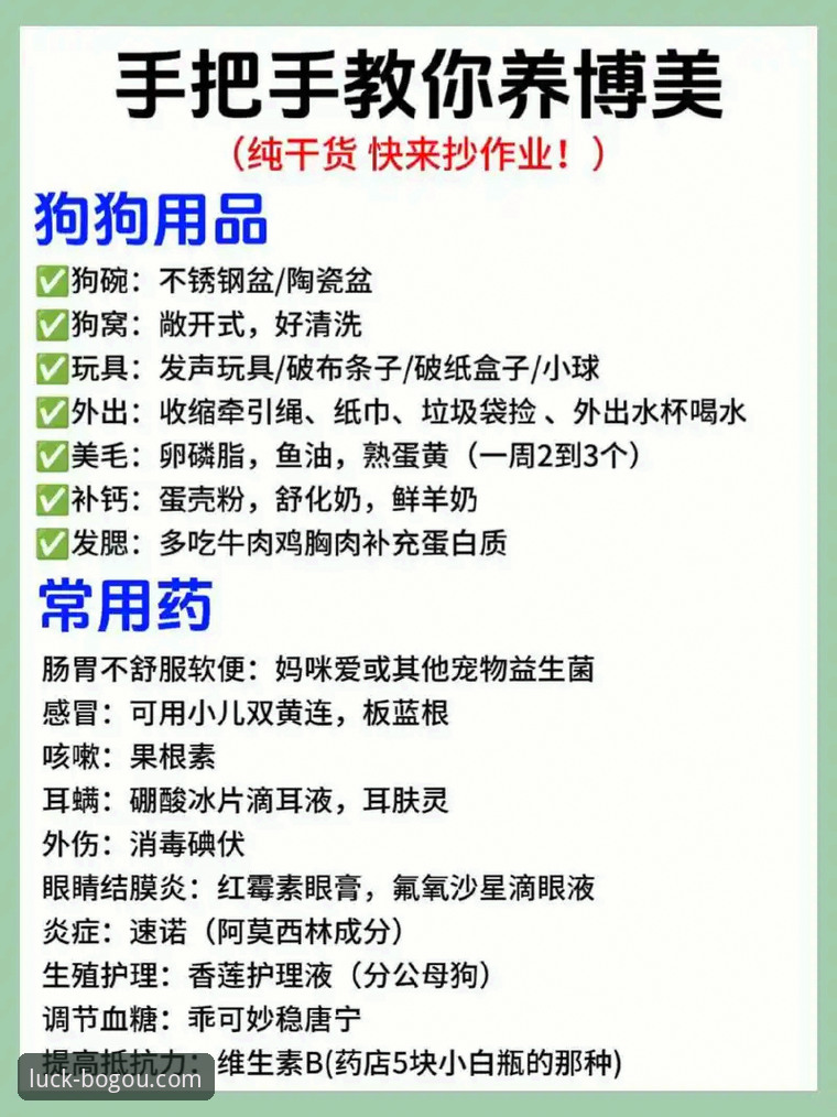 博狗手机版手机版 博狗手机版如何快速上手?新手必看的5个实用技巧